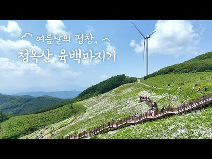 육백마지기 (yukbaekmajigi) 2