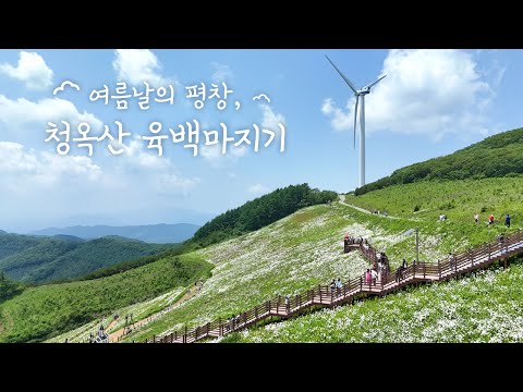 육백마지기 (yukbaekmajigi) 2